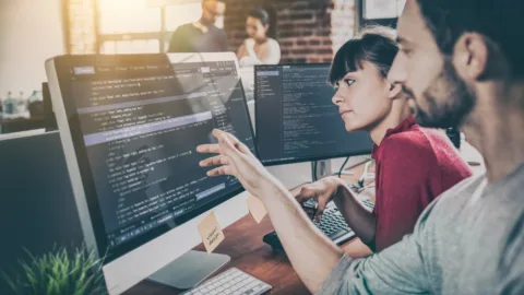 Web development